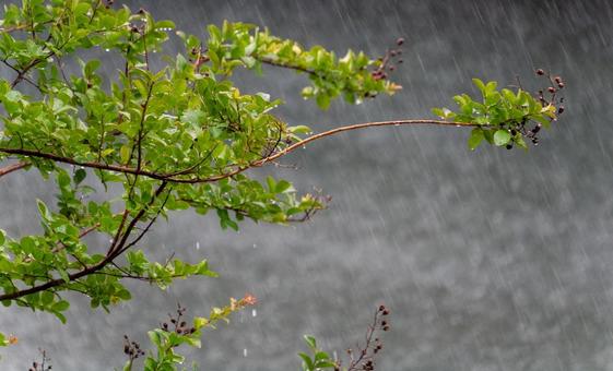 台風対策